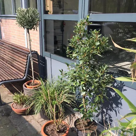 Studio 28a6 With Free Parking Place 2*